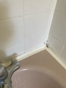 Photo de galerie - Ménage