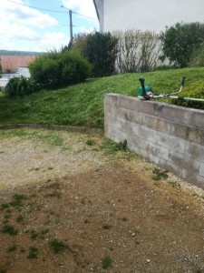 Photo réalisation - Tonte de pelouse - Débroussaillage - Sébastien P. - Charleville-Mézières (Villette Nord-Est) : 