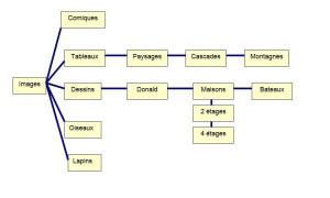Photo de galerie - Exemple d'organigramme photos