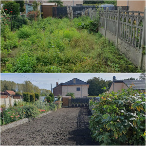 Photo de galerie - Avant / Après remise en état jardin + création pelouse 