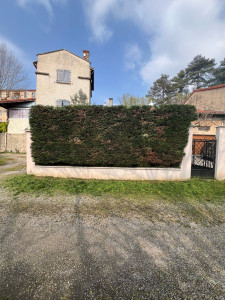 Photo de galerie - Taille de haies et d'arbustes