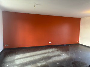 Photo de galerie - Mise en peinture d’un mur terracotta