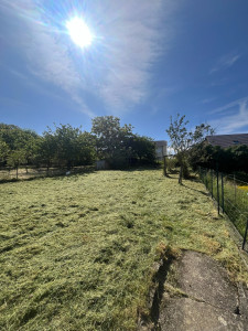 Photo de galerie - Fauchage d’herbe à la débroussailleuse car pas d’accès pour une tondeuse 