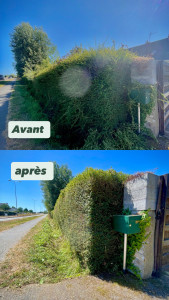 Photo de galerie - Taille