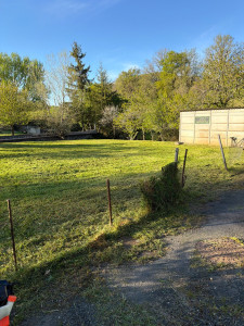 Photo de galerie - Entretien tonte et débroussaillage 