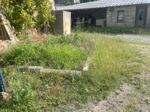 Photo de galerie - Tonte de pelouse - Débroussaillage