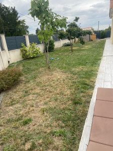 Photo de galerie - Entretient de jardin avec installation d’arrosage automatique 