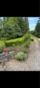 Photo de galerie - Entretien de jardin 