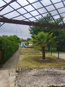 Photo de galerie - Remise a niveau d'un terrain bien chargé en mauvaise herbe , déchet , nettoyage pavé 

