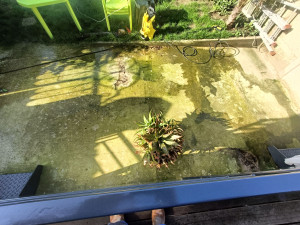 Photo de galerie - Terrasse avant nettoyage 