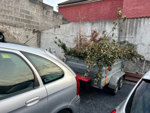 Photo de galerie - évacuation de déchets verts 
