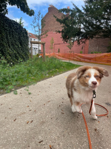 Photo de galerie - Bartone