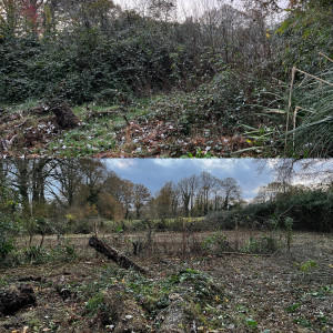 Photo de galerie - Énorme débroussaillage pour un ancien potager