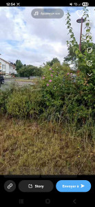 Photo de galerie - Paysagiste - Aménagement du jardin