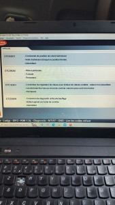 Photo de galerie - Valise de diagnostic effacement code défaut après remplacement des pièces défectueuses 