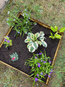 Photo de galerie - Paysagiste - Aménagement du jardin