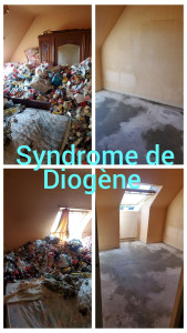 Photo de galerie - Débarras d'un syndrome de diogéne plus nettoyage en profondeur avec produit professionnels. 