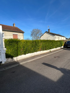 Photo de galerie - Taille de haies et d'arbustes