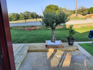 Photo de galerie - Création d'une terrasse bois et intégration d'un olivier