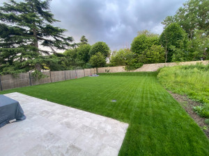 Photo de galerie - Préparation de sol et mise en place de gazon en rouleaux sur une surface de 350m2.