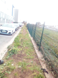 Photo de galerie - Paysagiste - Aménagement du jardin