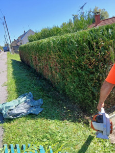 Photo de galerie - Bonjour
entretien des espaces verts 
élagage 
abattage 
taille de haie 
déracinage 
rabaissement de haie 

débroussaillage 
temps de pelouse 

