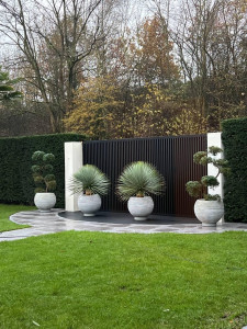 Photo de galerie - Occultants inox plantation; gazon; pavage 