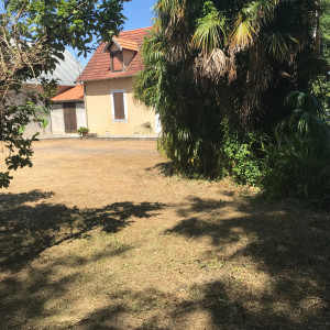 Photo de galerie - DEBROUSSAILLAGE APRES