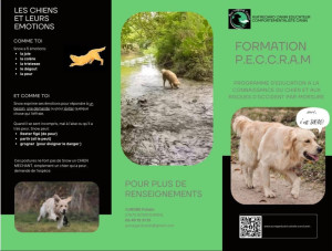 Photo de galerie - Garde chien