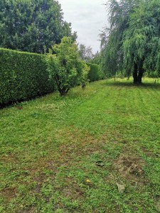 Photo de galerie - Jardinier