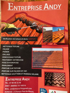 Photo de galerie - Charpente, nettoyage