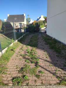 Photo de galerie - <AVANT> Désherbage d'une allée pavée 