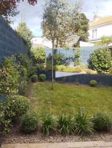 Photo de galerie - Entretien d'un jardin (après)