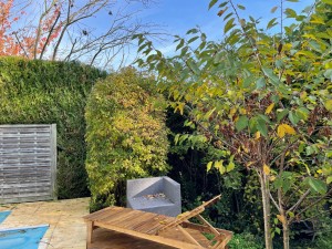 Photo de galerie - Taille de haies et d'arbustes