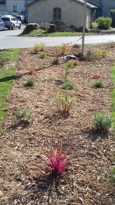 Photo de galerie - Paysagiste - Aménagement du jardin