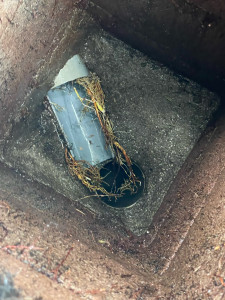 Photo de galerie - Regard après extraction des racines avant curage 