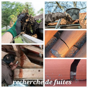 Photo de galerie - Couverture - Toiture