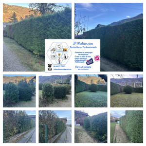 Photo de galerie - Taille de haie de saison plus rabattage 