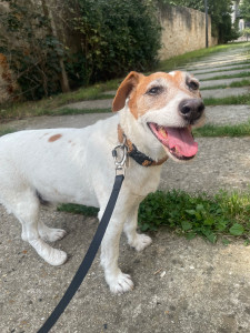 Photo de galerie - Caramel en promenade 