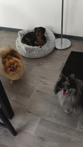 Photo de galerie - La petite tribu du week-end.
Que du bonheur ??