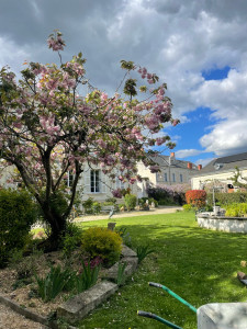 Photo de galerie - Résultat d’une taille d’un cerisier + entretien annuel jardin 