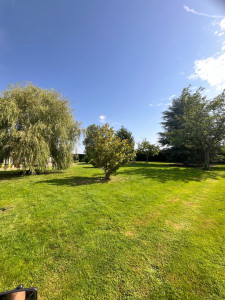 Photo de galerie - Tonte 2000m2