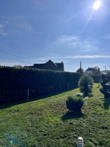 Photo de galerie - Taille de haies et d'arbustes