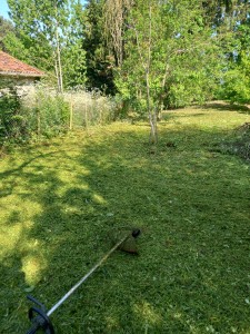 Photo de galerie - Tonte de pelouse - Débroussaillage