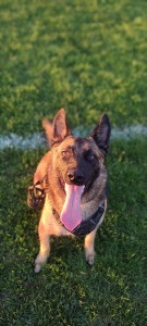 Photo de galerie - éduquer une passion .