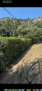 Photo de galerie - Taille d’une haie envahie de ronces 