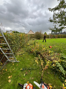 Photo de galerie - Taille de haie 