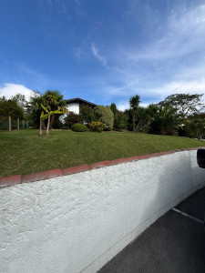 Photo de galerie - Tonte