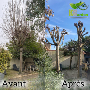 Photo de galerie - Taille d’arbres 