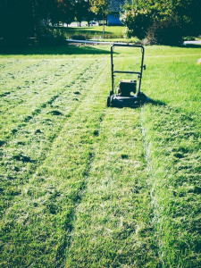 Photo de galerie - Paysagiste - Aménagement du jardin